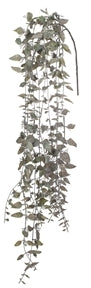 Trailing Leaf Bush